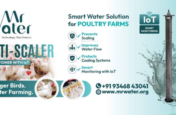 How Anti-Scalers Improve Poultry Farm Performance: The Role of IoT-Powered MR Water Anti-Scale Solutions