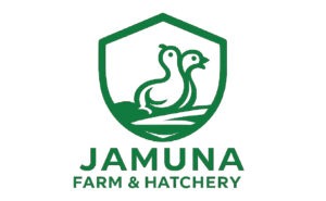 LOGO-10.jpg